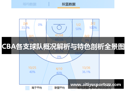 CBA各支球队概况解析与特色剖析全景图